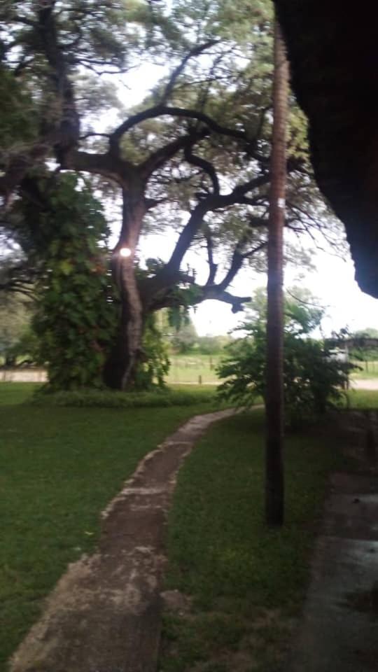 Camp Hogo Kavango 龙杜 外观 照片