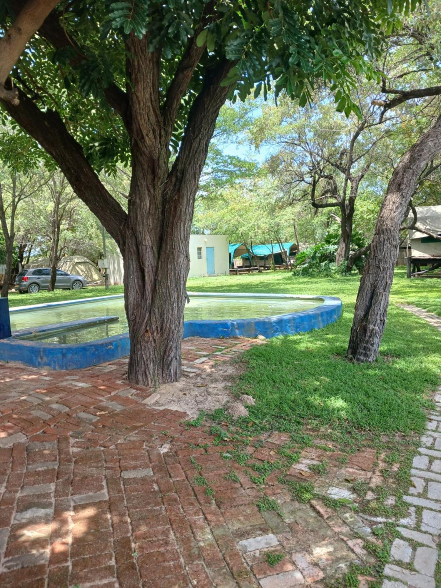 Camp Hogo Kavango 龙杜 外观 照片
