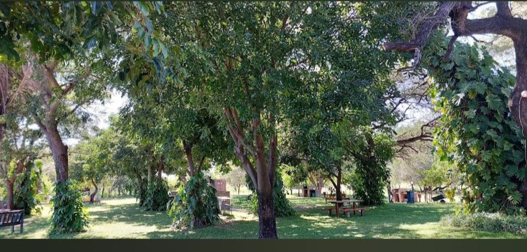 Camp Hogo Kavango 龙杜 外观 照片