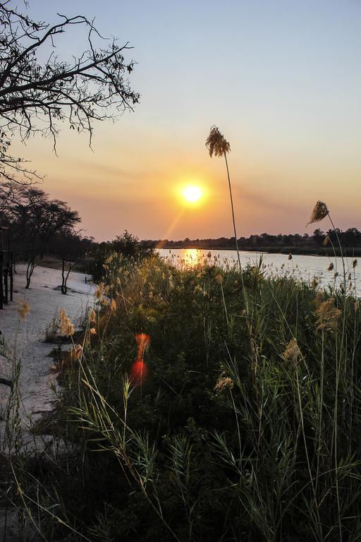 Camp Hogo Kavango 龙杜 外观 照片